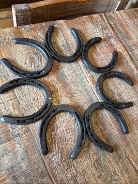 Black Metal Horseshoe Wall Decor - Set of 8